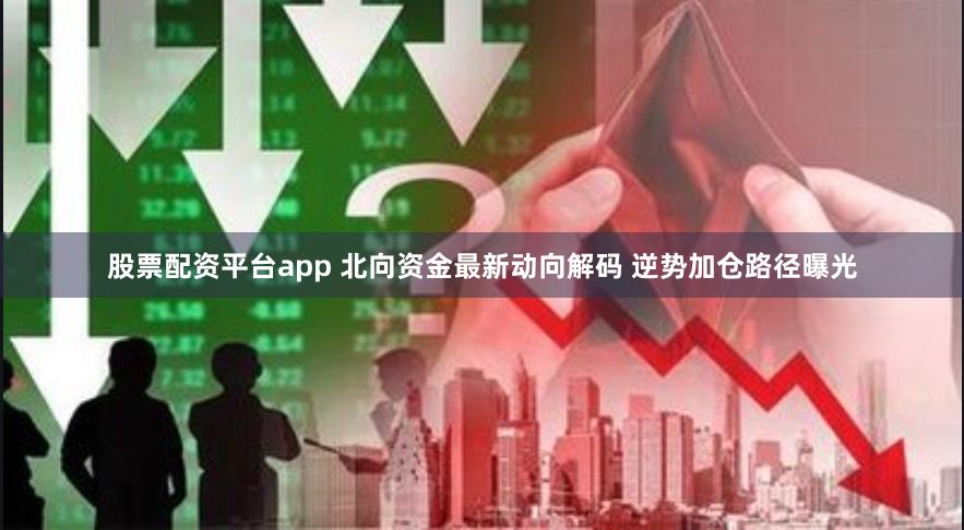 股票配资平台app 北向资金最新动向解码 逆势加仓路径曝光