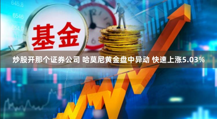 炒股开那个证券公司 哈莫尼黄金盘中异动 快速上涨5.03%