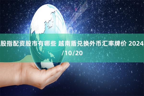 股指配资股市有哪些 越南盾兑换外币汇率牌价 2024/10/20