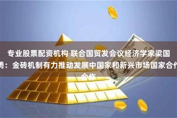 专业股票配资机构 联合国贸发会议经济学家梁国勇：金砖机制有力推动发展中国家和新兴市场国家合作