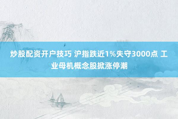 炒股配资开户技巧 沪指跌近1%失守3000点 工业母机概念股掀涨停潮