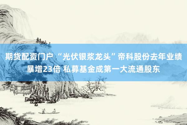 期货配资门户 “光伏银浆龙头”帝科股份去年业绩暴增23倍 私募基金成第一大流通股东