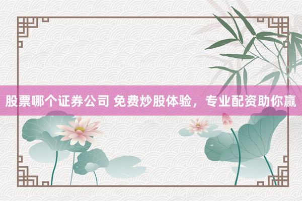 股票哪个证券公司 免费炒股体验，专业配资助你赢