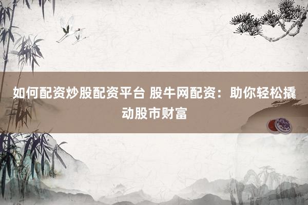 如何配资炒股配资平台 股牛网配资：助你轻松撬动股市财富